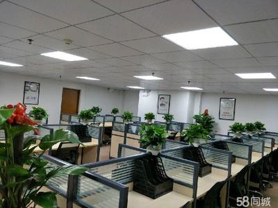 茂名市天弘商务信息咨询 专业助力企业决策与发展的战略伙伴