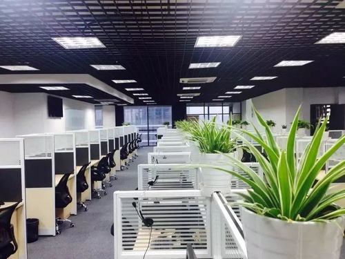 上海新积域 2018金音奖最佳客服案例的卓越典范