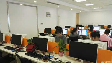 迅锋商务信息咨询 企业决策的智慧引擎与风险屏障