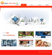 重庆元午商务信息咨询网站建设案例解析