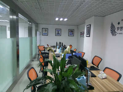 苏州永真商务咨询 专业商务信息咨询服务解析